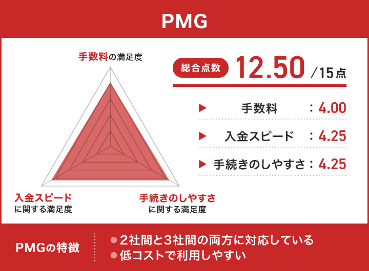 PMGのレーダーチャート