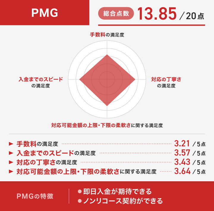 PMGのレーダーチャート