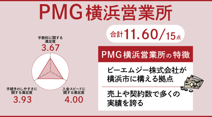 PMGのレーダーチャート